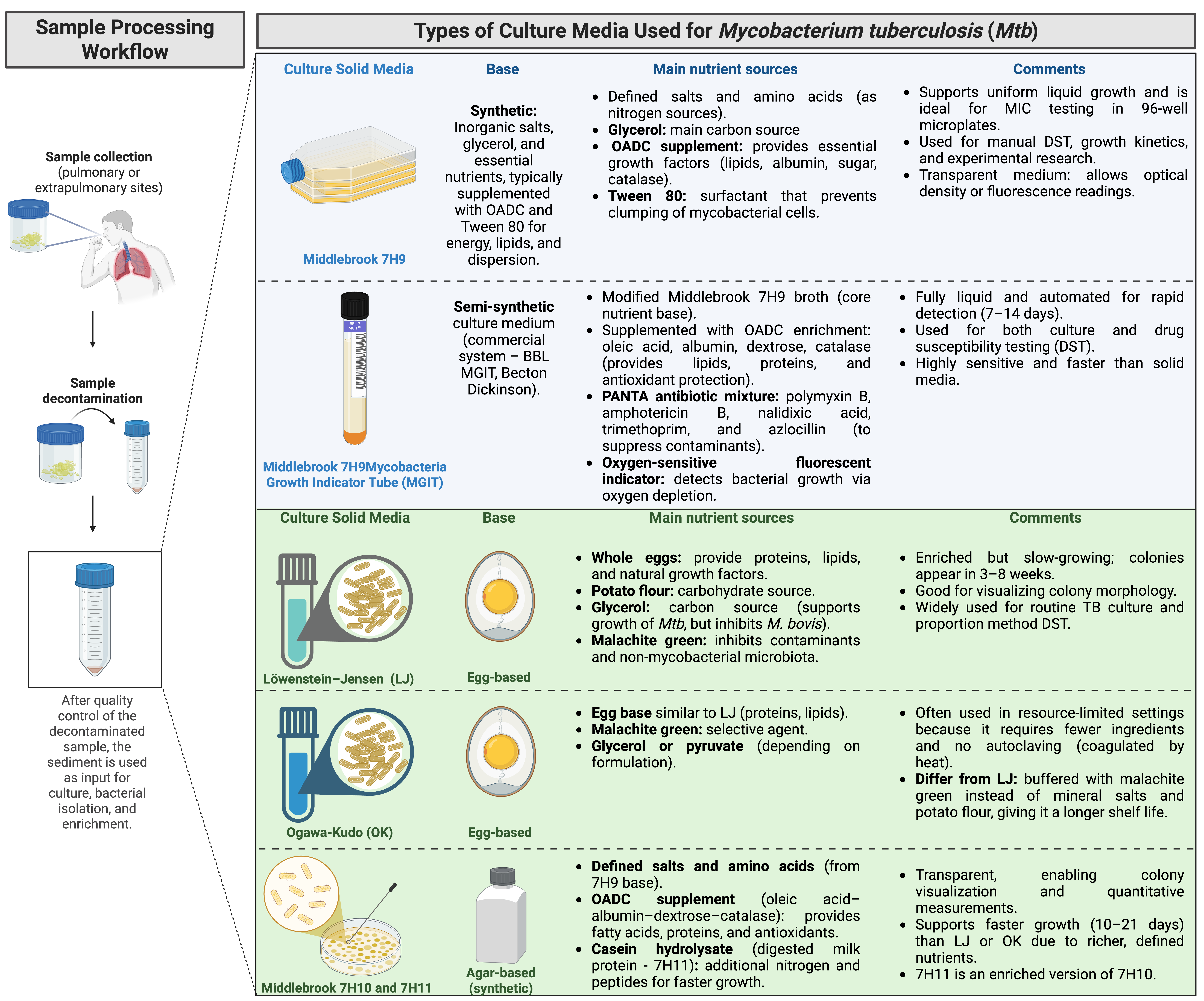 Mycobacterium tuberculosis Media Types